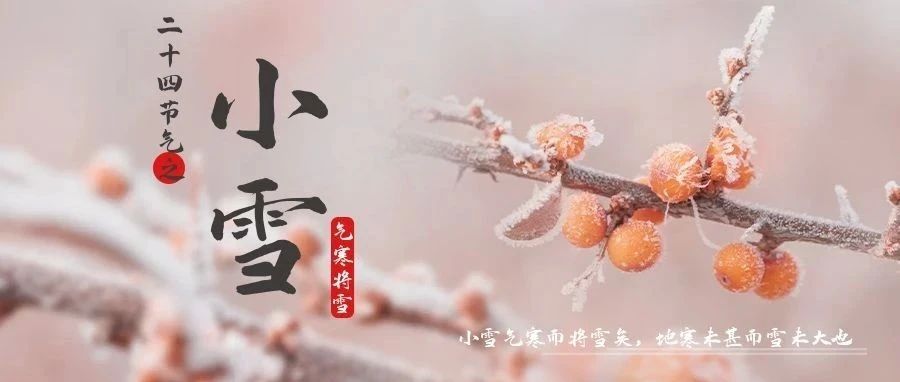 今日，小雪！